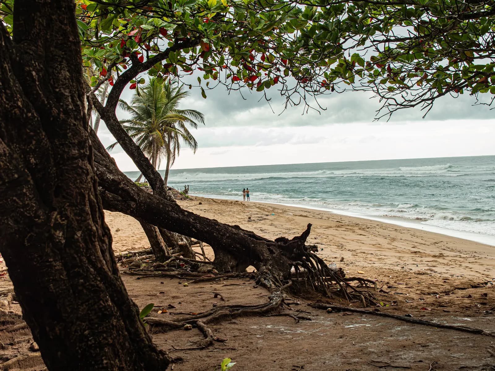 Encuentro Beach Real Estate: The Ultimate Guide to Living and Buying Property