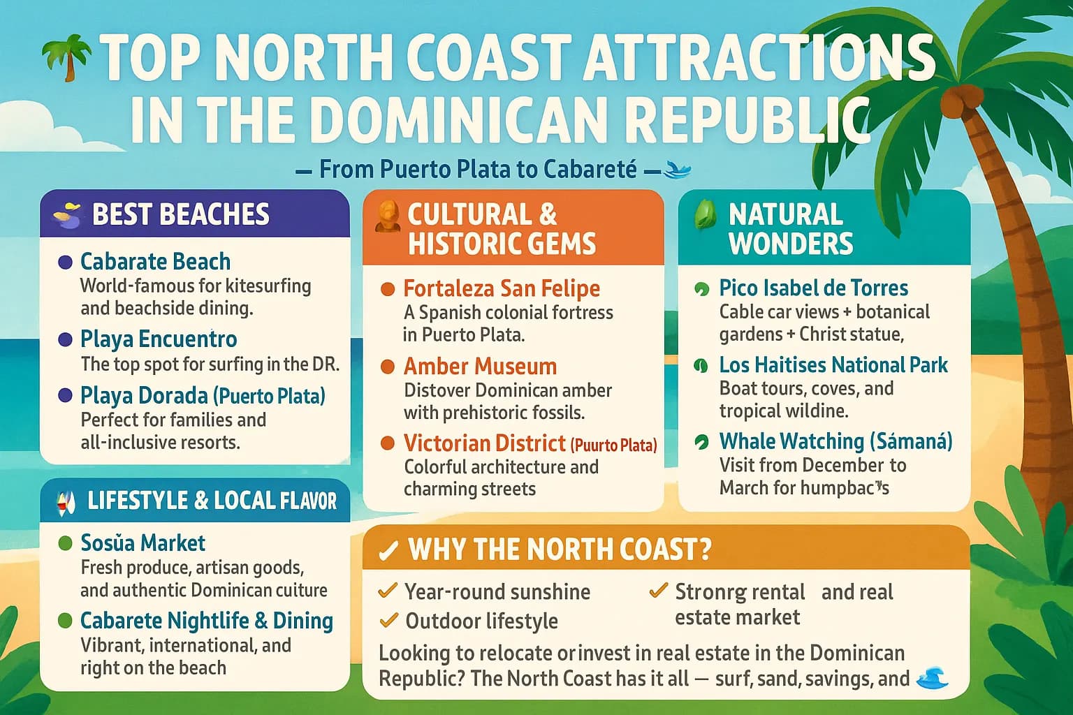 Best Things to Do on the Dominican Republic North Coast: 2026 Local Guide
