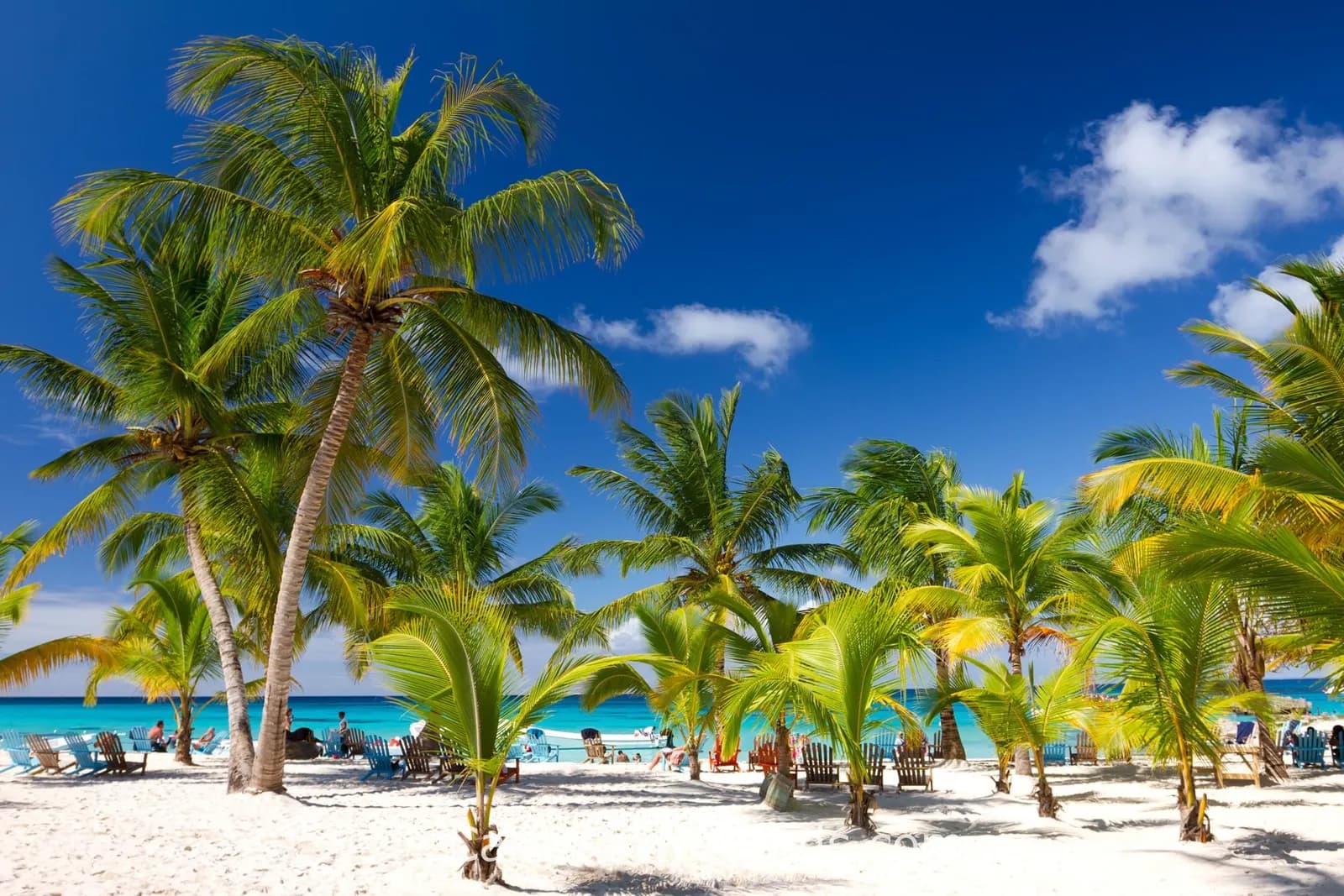 Dominican Republic Tourism Hits 11 Million in 2024 – A Record-Breaking Boom Powering Real Estate Investments